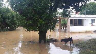 Inundaciones en varios sectores del distrito de Chepo