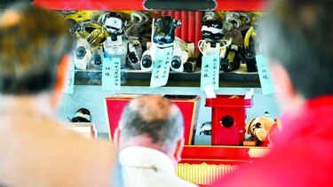 Aibo, camaradas hasta la muerte