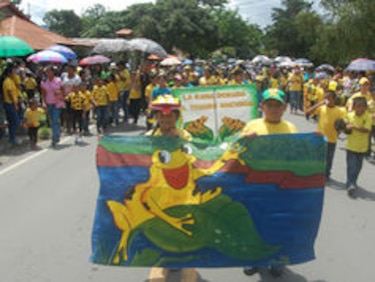 El Valle de Antón: Comunidad respalda festival en honor a la rana dorada