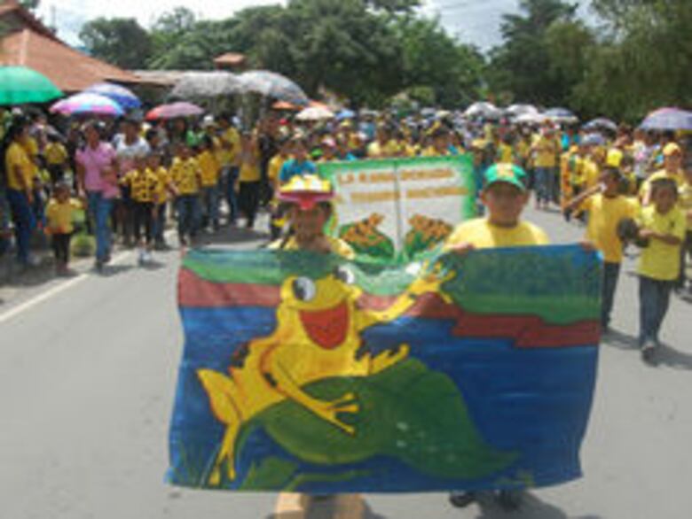 El Valle de Antón: Comunidad respalda festival en honor a la rana dorada
