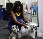 Mascotas protagonizan un desfile de modas