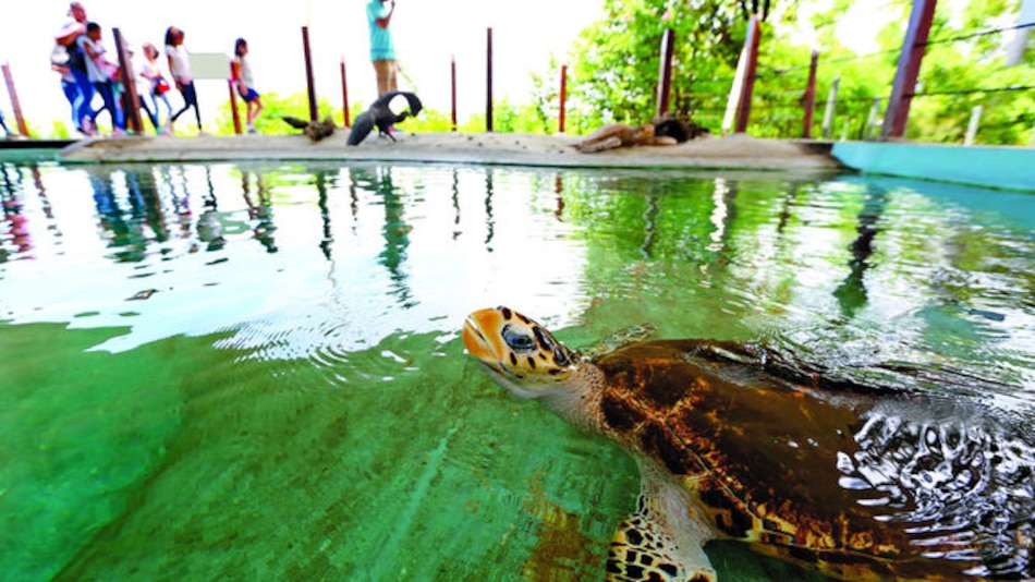 Centro Natural Punta Culebra, para acercarse a la naturaleza