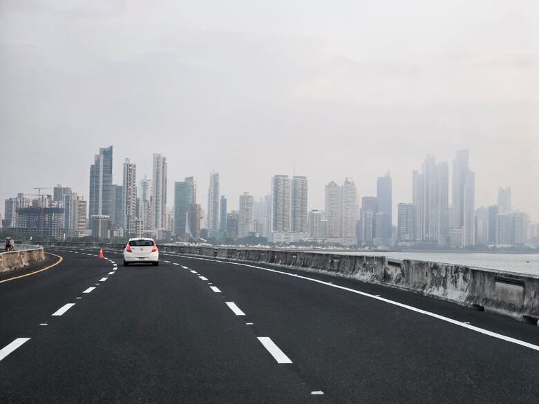 La AAUD dice que el incendio en cerro Patacón fue provocado