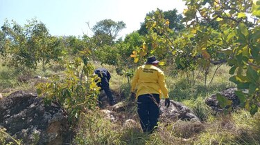 Bomberos culminan investigación sobre incendio en el cerro Guacamaya y entregan reporte a las autoridades
