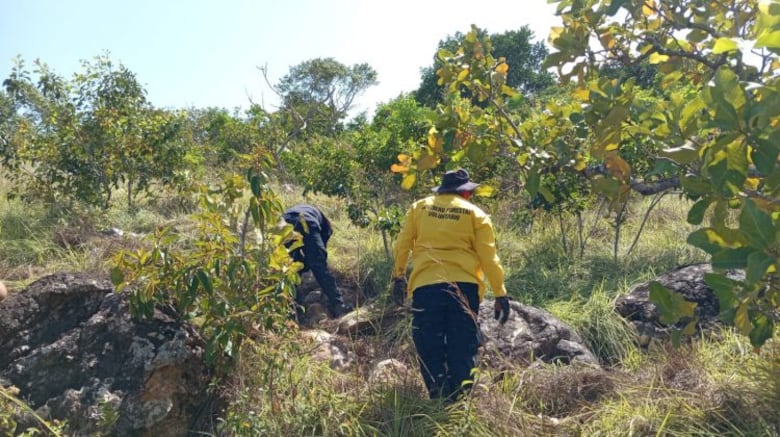 Bomberos culminan investigación sobre incendio en el cerro Guacamaya y entregan reporte a las autoridades