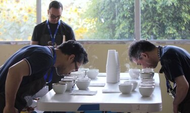 Hoy se escoge el mejor café de Panamá