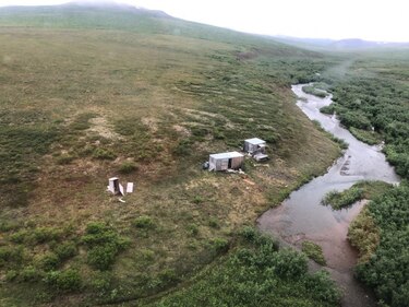 Rescatan a hombre que resistió durante una semana el acoso de un oso en Alaska