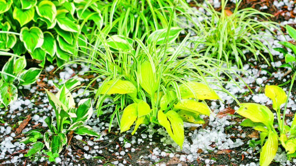 El clima más cálido ha llegado