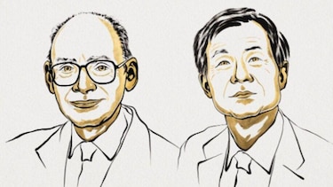 Qué es el misterio de las asimetrías de la naturaleza por el que dos investigadores ganaron el Nobel de Química