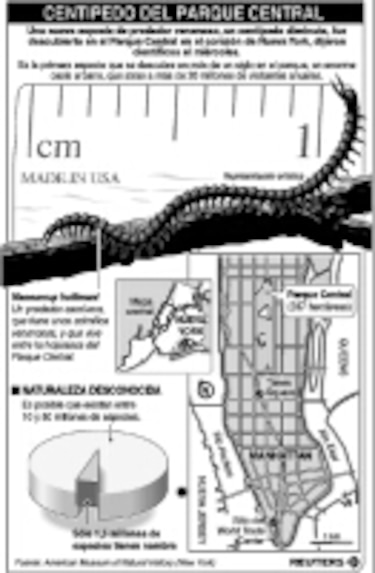 Pies pequeños caminan en Central Park