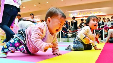 600 bebés disputaron la mayor carrera de gateo en Japón