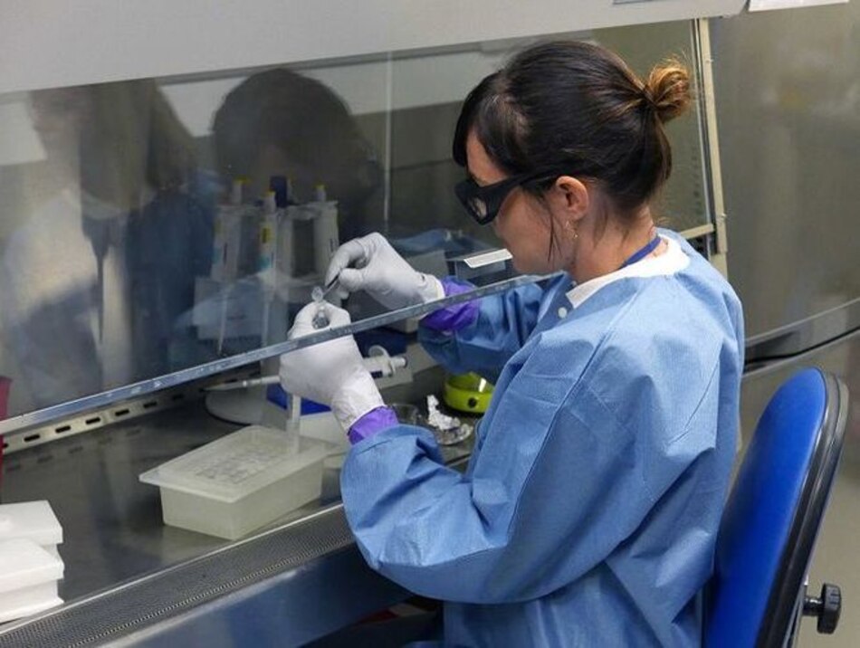 Tres vacunas experimentales de zika dan resultado en monos