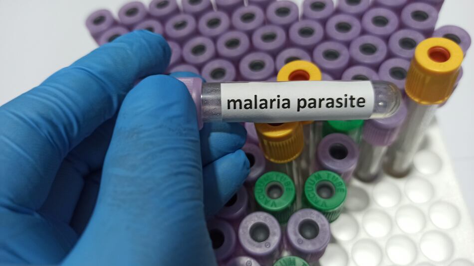 Los casos de malaria ya superan los reportados en todo el 2022