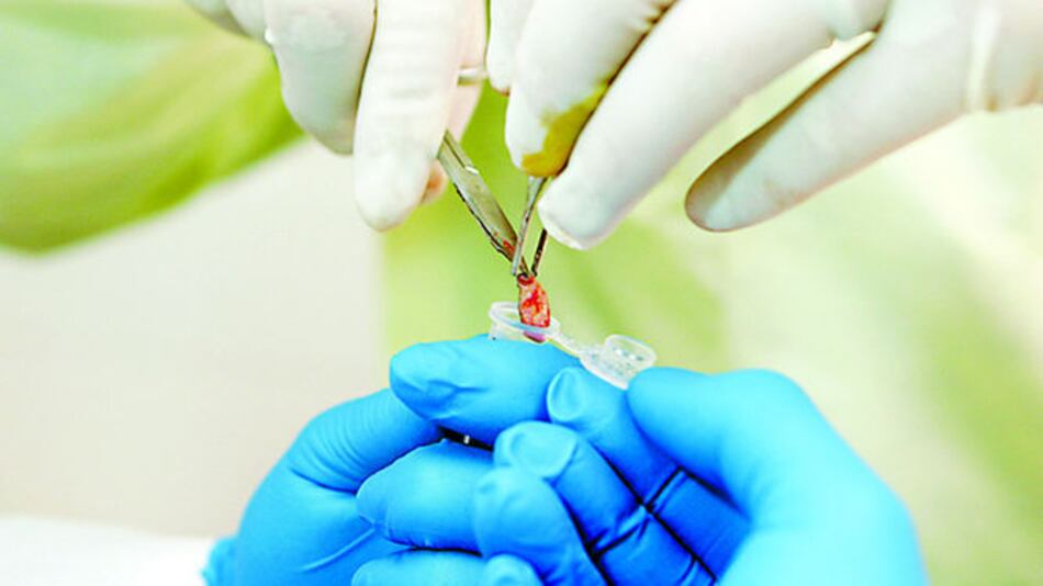 Farmacéuticas se unen en pruebas contra el cáncer