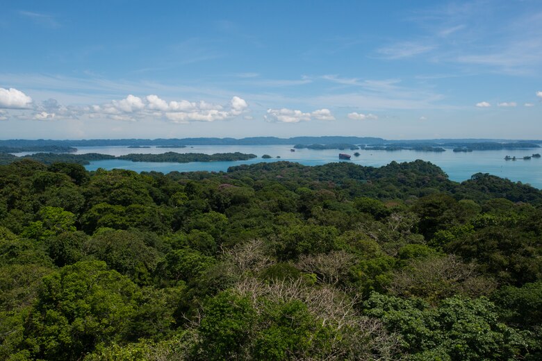 100 años de investigación en Barro Colorado: un legado para la ciencia tropical