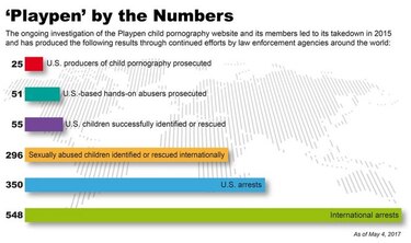 Florida: 30 años de cárcel por manejar sitio porno infantil