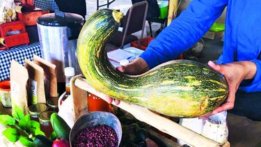 Mercado urbano del mes de febrero