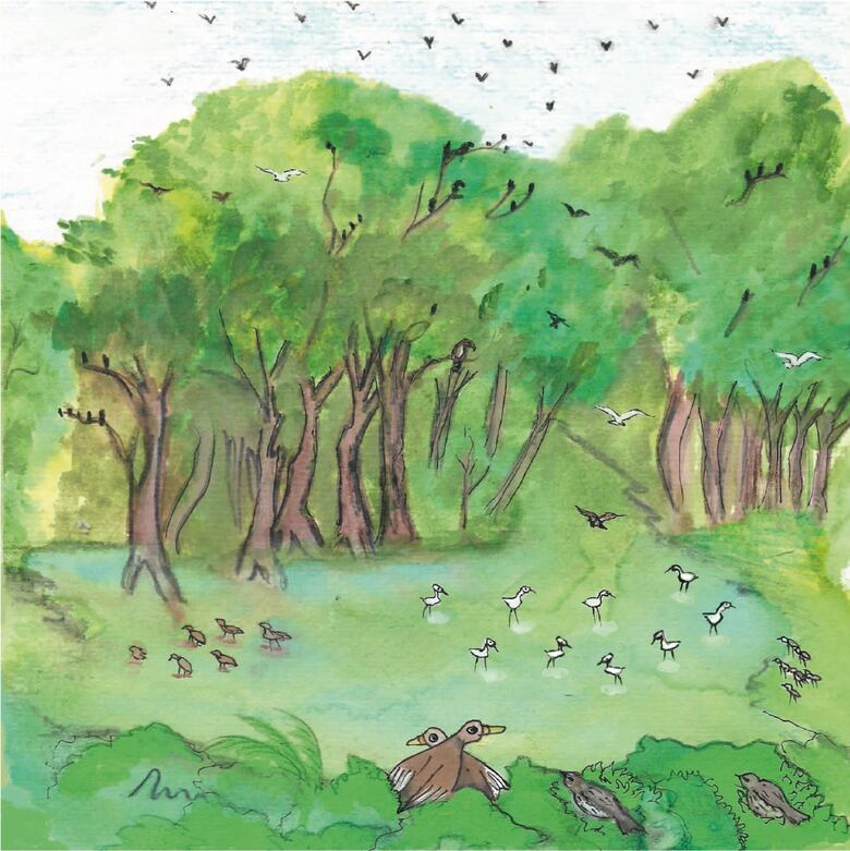 Los valores y la naturaleza