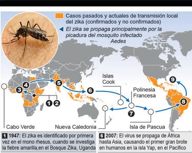 Cuanto más se sabe del zika, más temor inspira