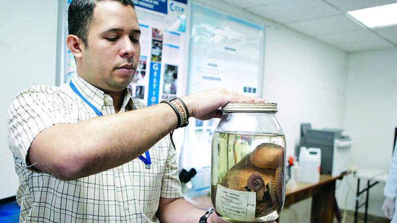 El valor de una colección zoológica