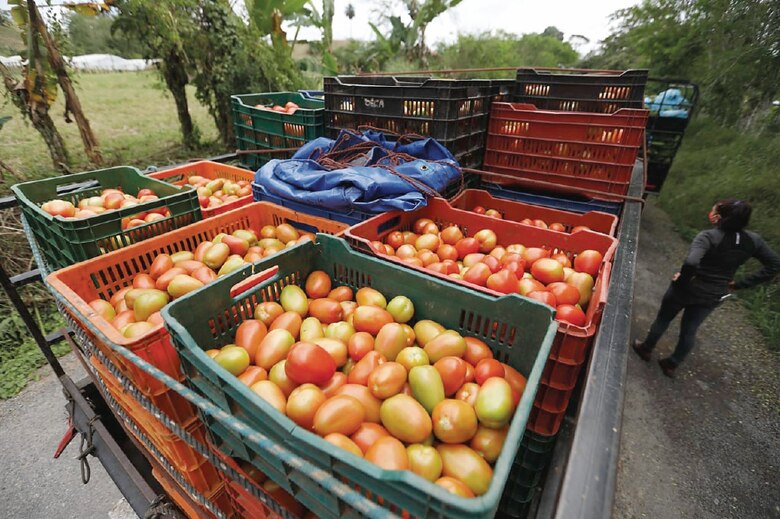 Cafetaleros de Renacimiento exigen la presencia del Gobierno en la zona