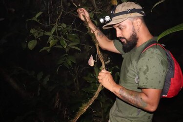 ¿Sabía que Panamá alberga plantas carnívoras únicas en el mundo?