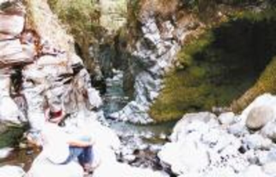 Cañón Macho de Monte