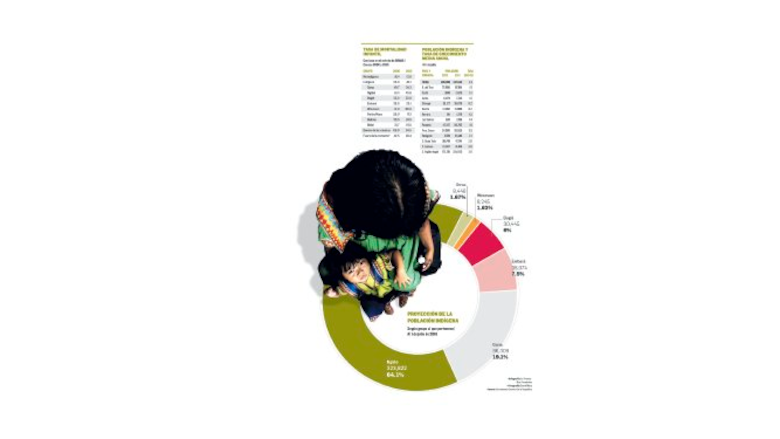 CRECE LA POBLACIÓN INDÍGENA