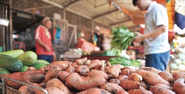 Washington reconoce avance en biofortificados