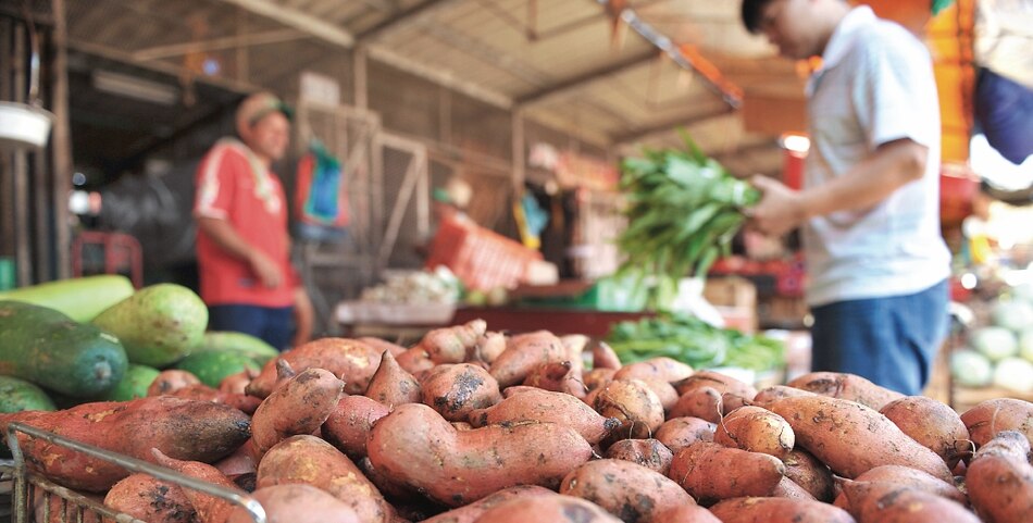 Washington reconoce avance en biofortificados