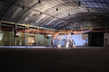 Las andanzas de los dinosaurios dejaron un legado compartido entre Patagonia y Australia