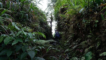 La verdadera historia detrás de la ‘ciudad perdida’ de la Amazonía