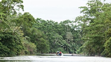 Estados Unidos buscaría acuerdo para enviar solicitantes de asilo de África y Asia a Panamá, según TWP