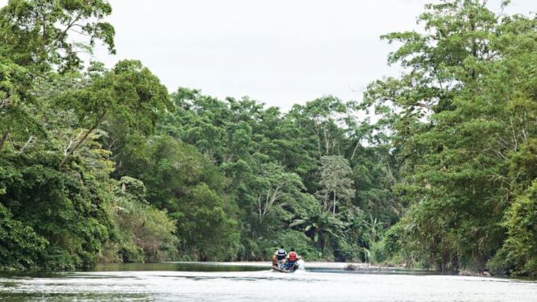 Estados Unidos buscaría acuerdo para enviar solicitantes de asilo de África y Asia a Panamá, según TWP