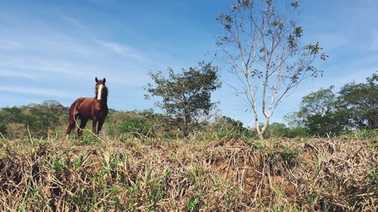 La Isleta, un lugar para admirar la naturaleza
