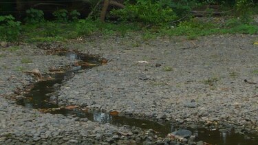 Plantean la construcción de dos grandes represas en Azuero
