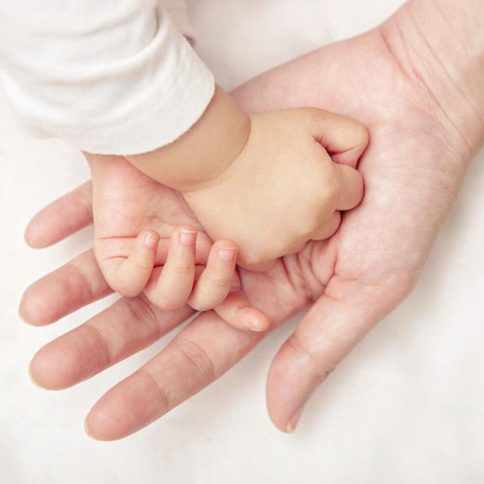 Humanización y prueba pericial en las pensiones alimenticias