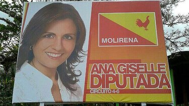 Piden al TE retirar papeleta de partido Molirena de elecciones en el 4-6