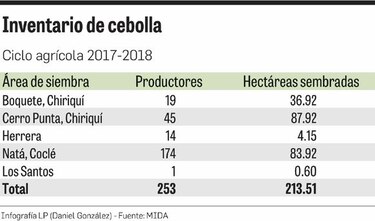 Cebolleros de Natá negocian venta de cosecha con el IMA