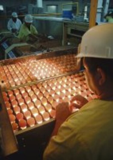 Repunta la avicultura