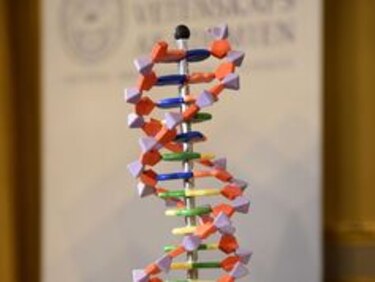 Nobel de Química para tres científicos por su trabajo sobre reparación del ADN