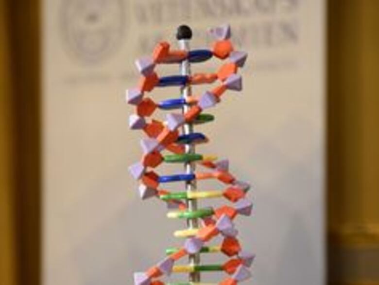 Nobel de Química para tres científicos por su trabajo sobre reparación del ADN