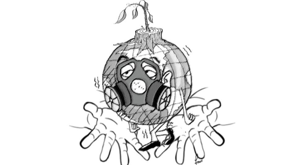 Manglares y cambio climático