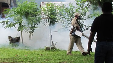 Autoridades fumigan escuelas en la provincia de Chiriquí