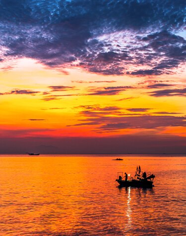 Las olas de calor marinas ya afectaron al 96% de la superficie oceánica en 2023