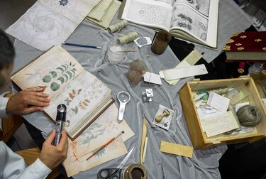 Pequeña editorial española clona el libro más misterioso del mundo