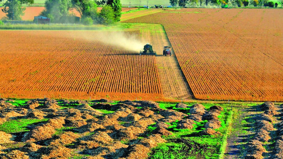 Brasileña JBS recupera pérdidas