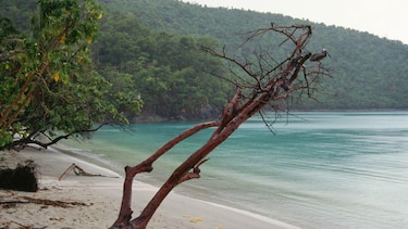 Los territorios que Estados Unidos compró a lo largo de su historia para formar el país que es ahora