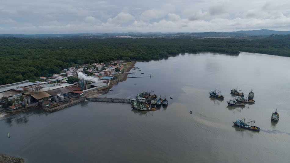 Industria pesquera, a media máquina