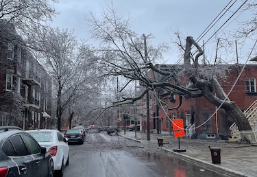 Tormenta de hielo deja sin electricidad a casi 600 mil hogares en Canadá